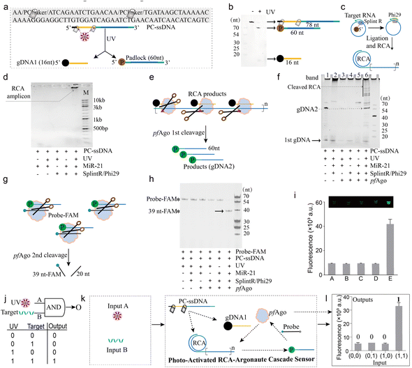 image file: d6sc00827e-f2.tif