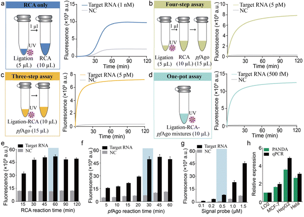 image file: d6sc00827e-f3.tif