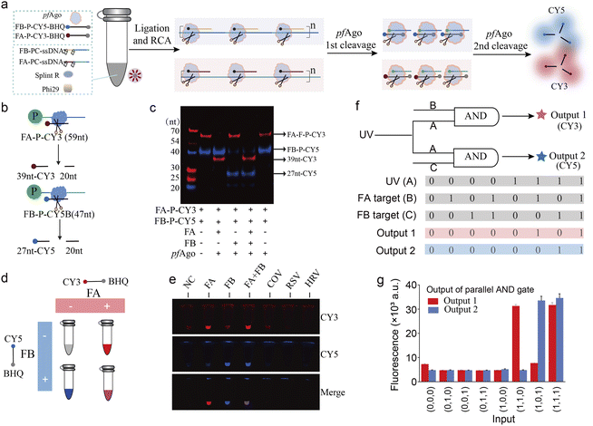 image file: d6sc00827e-f4.tif