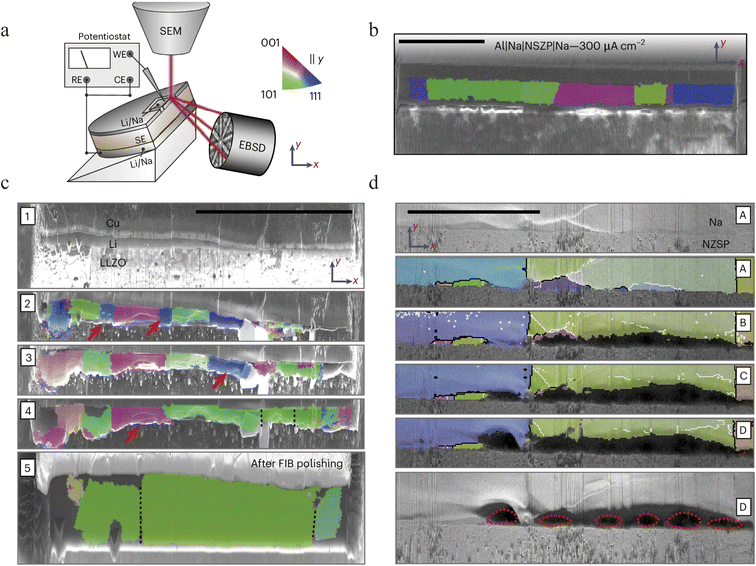 image file: d6sc00853d-f10.tif