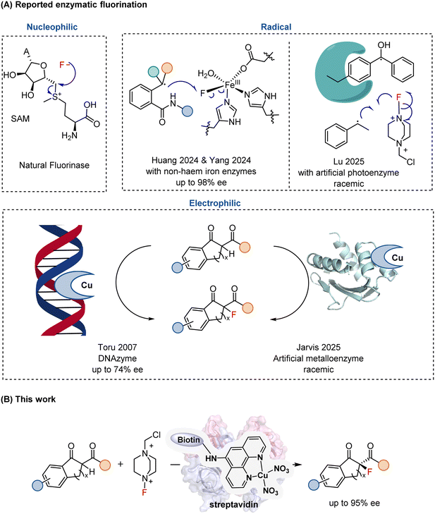image file: d6sc00858e-f1.tif