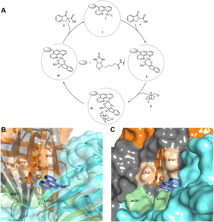 image file: d6sc00858e-f4.tif