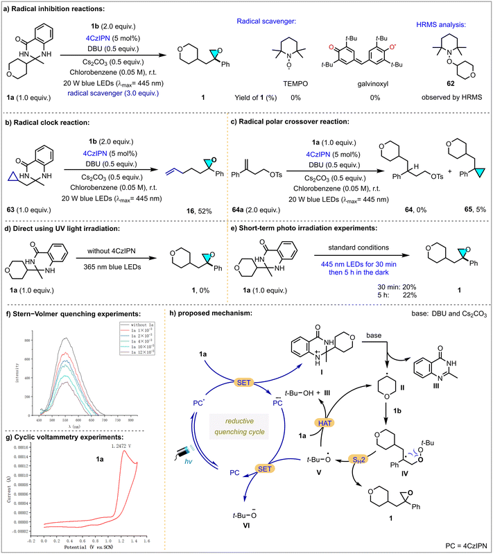 image file: d6sc00898d-s4.tif
