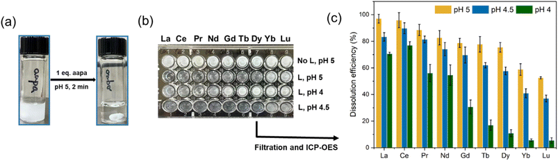 image file: d6sc00975a-f5.tif
