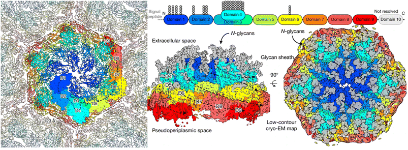 image file: d6sc01048b-f19.tif