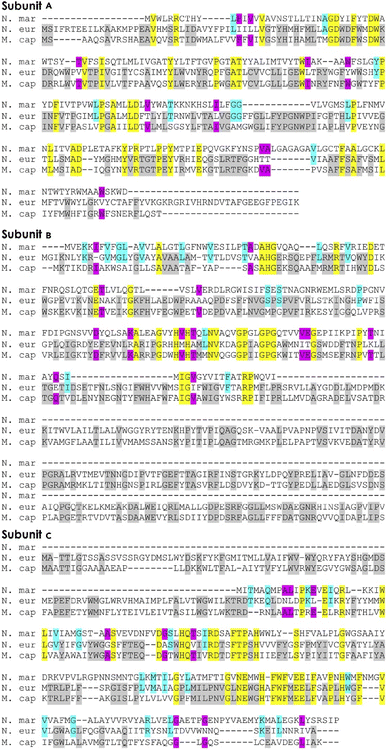 image file: d6sc01048b-f2.tif