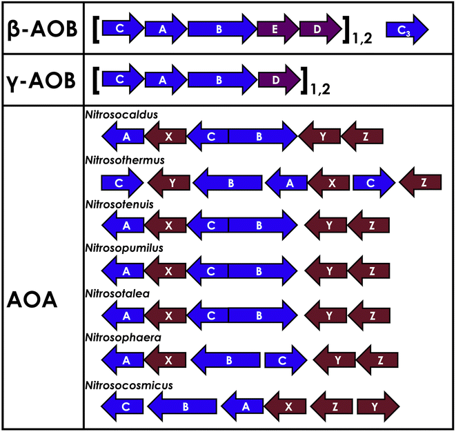 image file: d6sc01048b-f3.tif