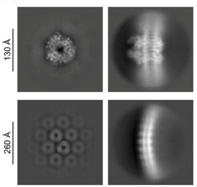 image file: d6sc01048b-f6.tif