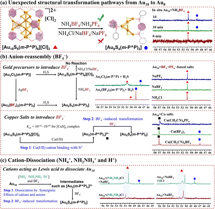 image file: d6sc01070a-f2.tif