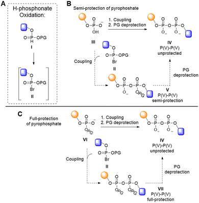 image file: d6sc01119e-f1.tif