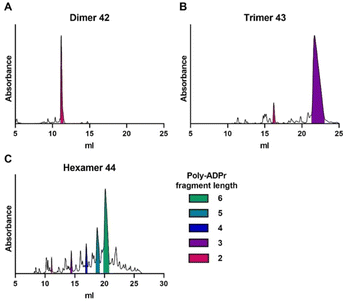 image file: d6sc01119e-f5.tif