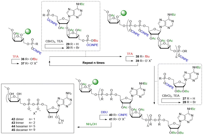image file: d6sc01119e-s2.tif