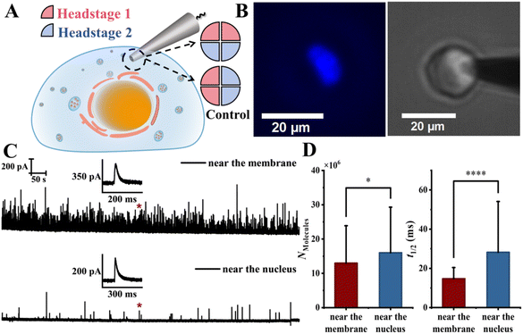 image file: d6sc01178k-f4.tif