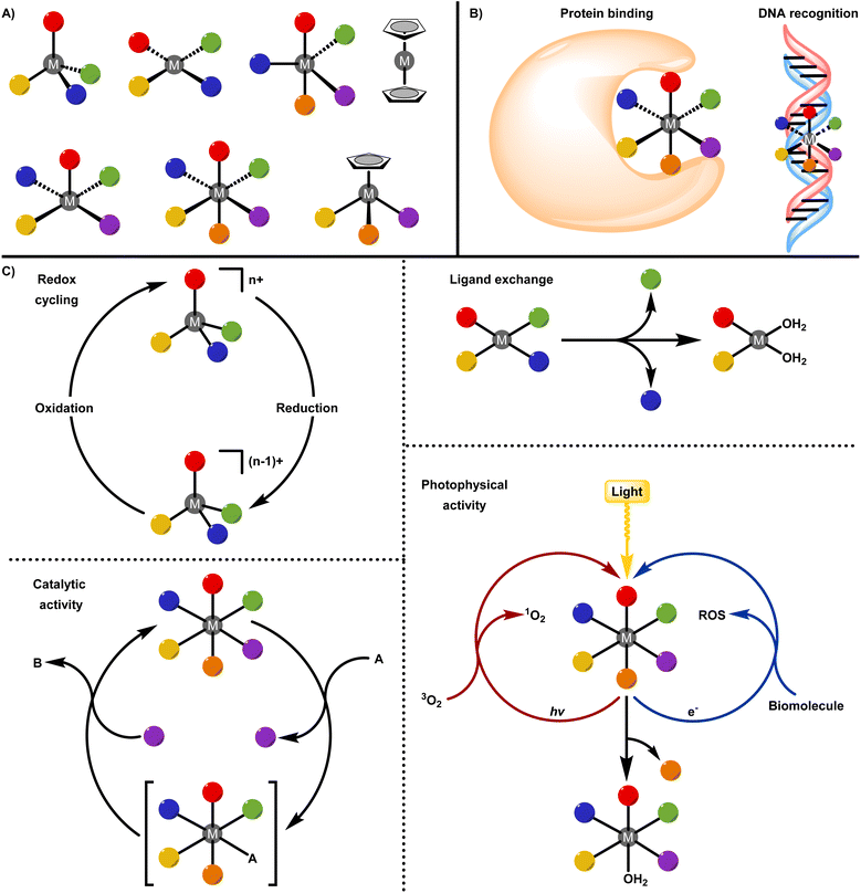 image file: d6sc01182a-f1.tif