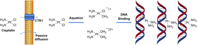 image file: d6sc01182a-f5.tif