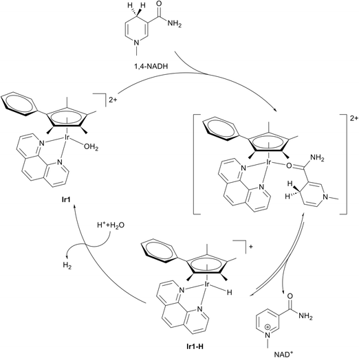 image file: d6sc01182a-f6.tif