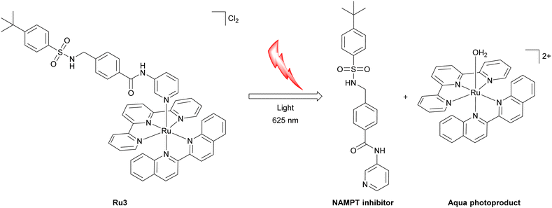 image file: d6sc01182a-f8.tif
