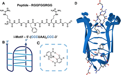 image file: d6sc01203e-f1.tif