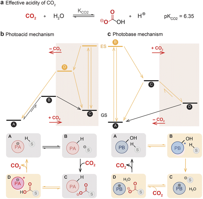image file: d6sc01308b-f2.tif