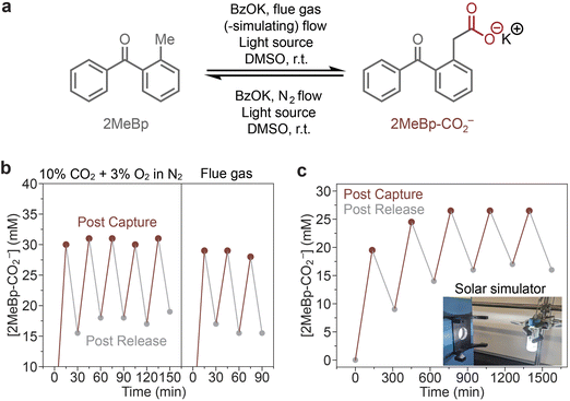 image file: d6sc01308b-f4.tif