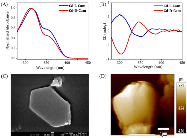 image file: d6sc01358a-f2.tif