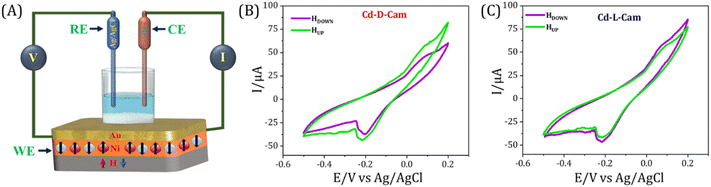 image file: d6sc01358a-f6.tif