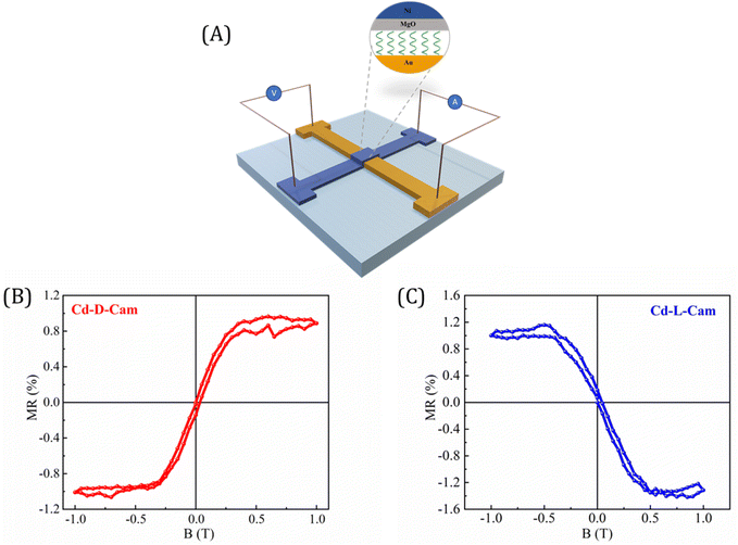image file: d6sc01358a-f7.tif