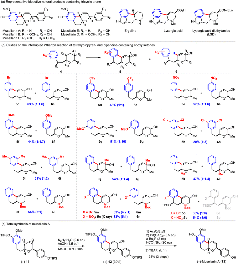 image file: d6sc01519k-s3.tif