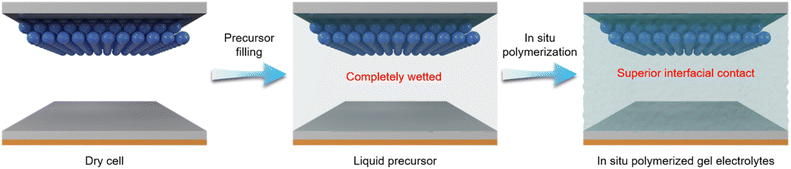 image file: d6sc01543c-f2.tif