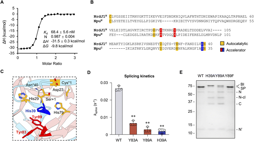 image file: d6sc01808d-f3.tif