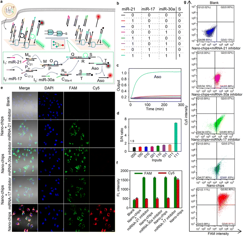 image file: d6sc01897a-f3.tif