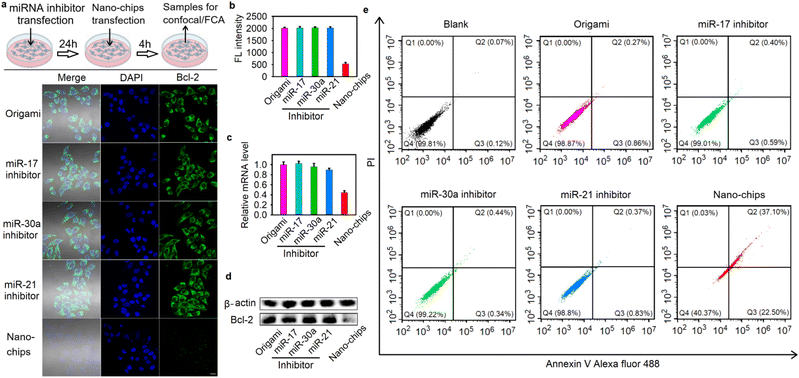 image file: d6sc01897a-f4.tif