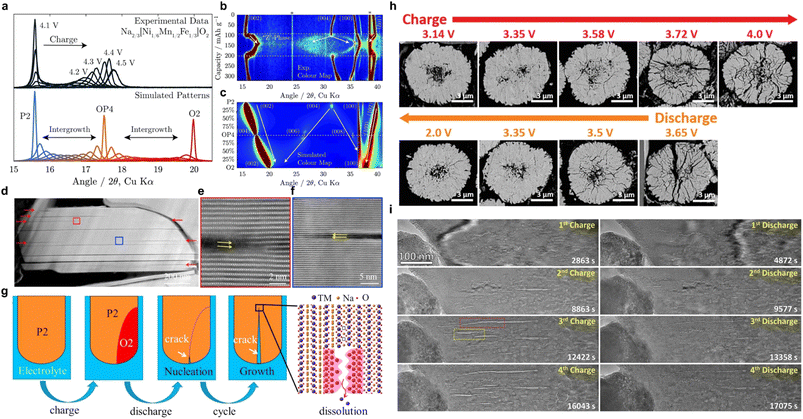 image file: d6sc02126c-f3.tif
