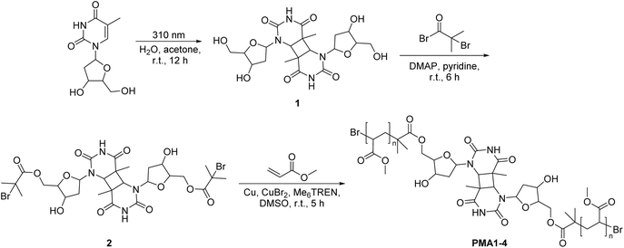 image file: d6sc02165d-s1.tif