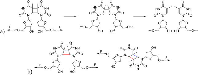 image file: d6sc02165d-s2.tif