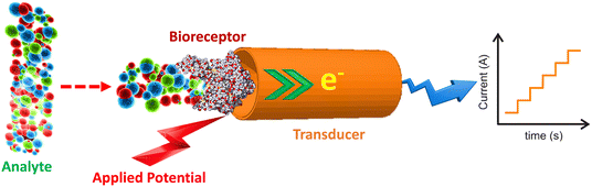 image file: d5sd00082c-f3.tif
