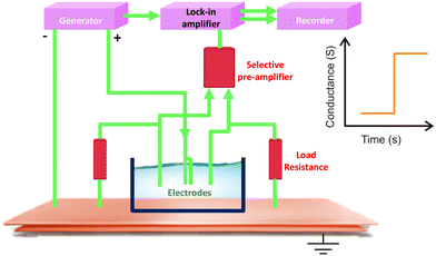 image file: d5sd00082c-f4.tif