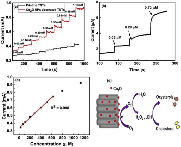 image file: d5sd00082c-f7.tif