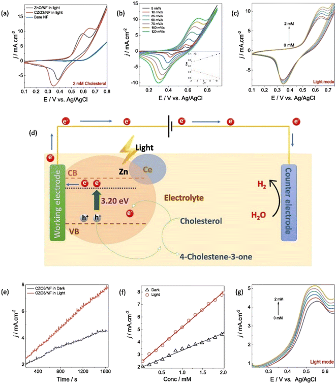 image file: d5sd00082c-f8.tif