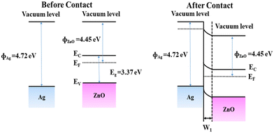 image file: d5sd00105f-f10.tif