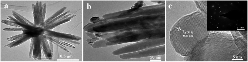 image file: d5sd00105f-f2.tif