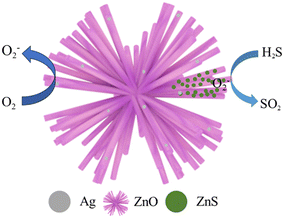 image file: d5sd00105f-f9.tif