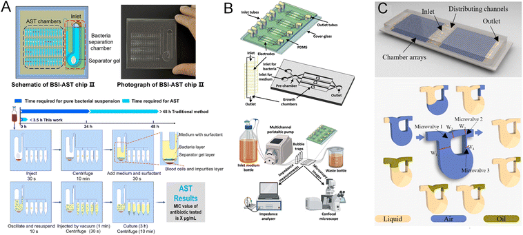 image file: d5sd00118h-f3.tif