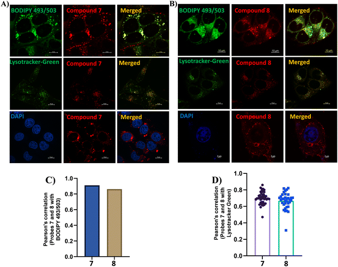 image file: d5sd00155b-f5.tif