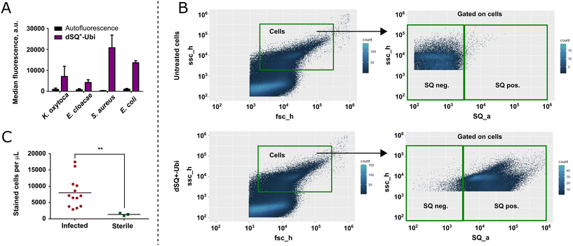 image file: d5sd00160a-f4.tif