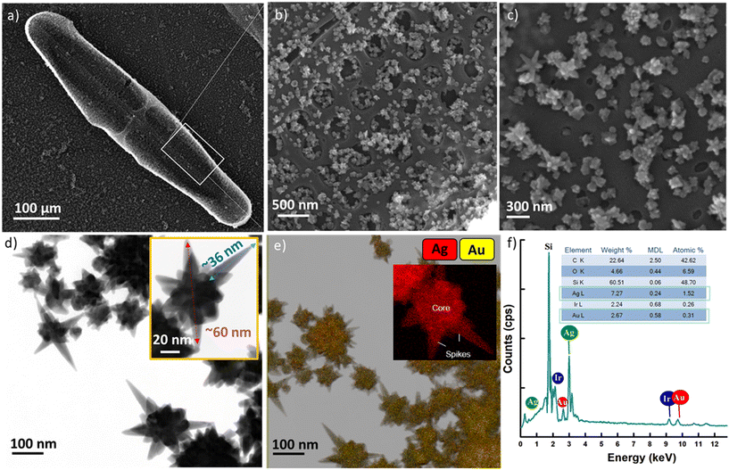 image file: d5sd00161g-f1.tif