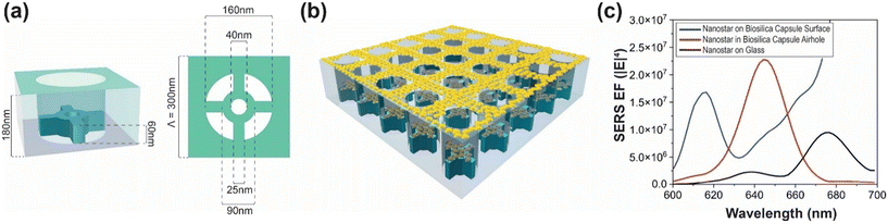 image file: d5sd00161g-f3.tif