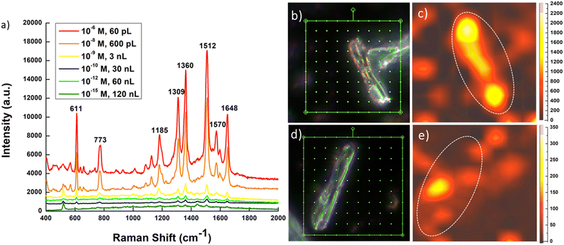 image file: d5sd00161g-f5.tif