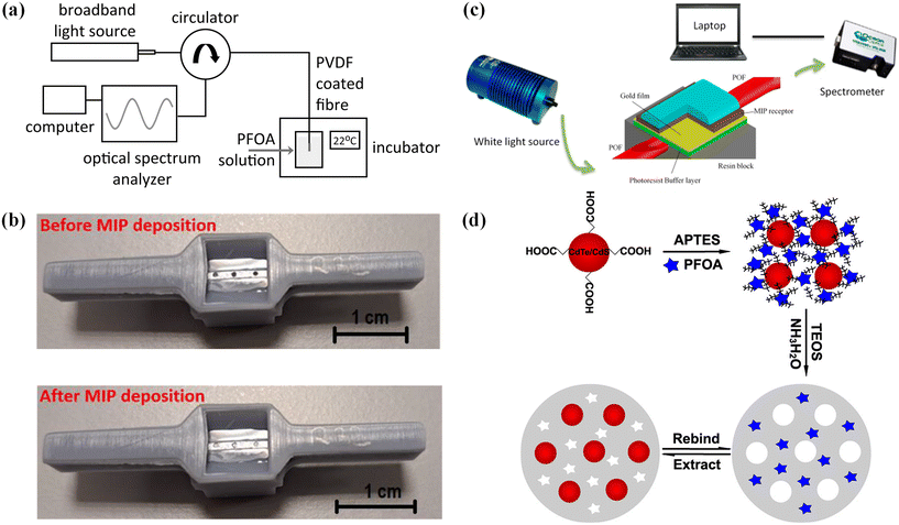 image file: d5sd00166h-f2.tif