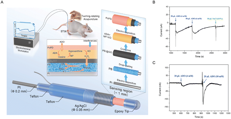 image file: d5sd00170f-f3.tif